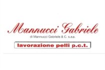 Mannucci Gabriele di Mannucci Gabriele & c. s.a.s.