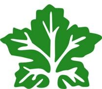 T M Abdul Rahman & Sons