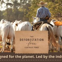 World Wildlife Fund launches Deforestation-Free Leather Fund
