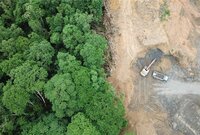 Don’t miss Leather Working Group’s participation in this WWF-led webinar