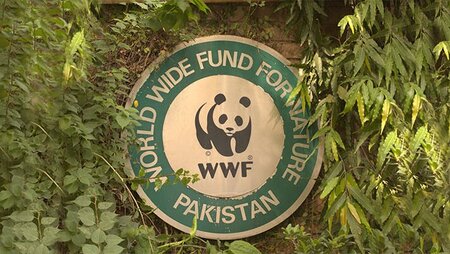 WWF Pakistan