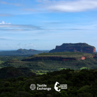 Textile Exchange and Leather Working Group team up to Launch Deforestation-Free Call to Action for Leather